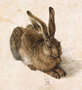 300px-Durer_Young_Hare